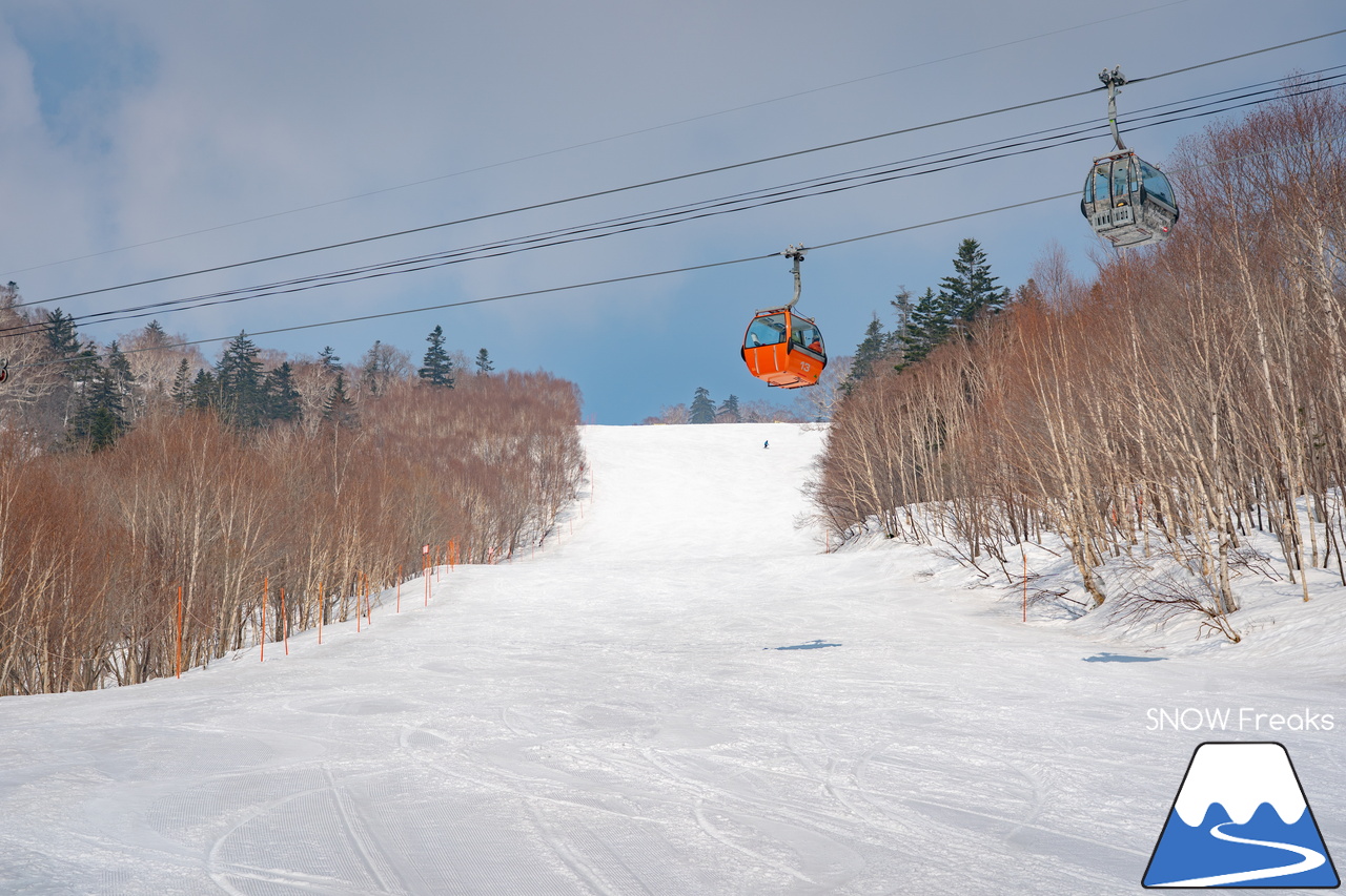 札幌国際スキー場｜さすが『KOKUSAI』！春シーズンも安泰の豊富な積雪で、まだまだ余裕で全面滑走可能です(^^)v